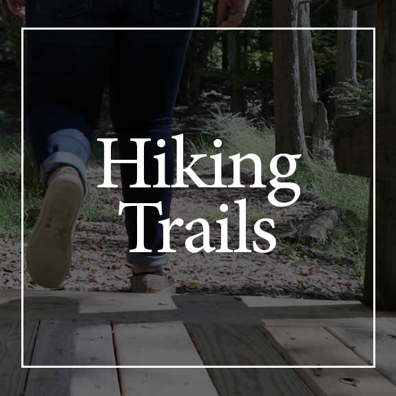Hiking Trails at Brookdale Recovery